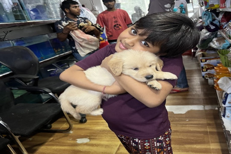 We Love Pet Shop