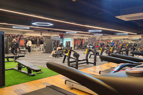WTF Exclusive Gym